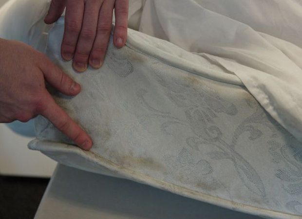 Bed Bug Treatment