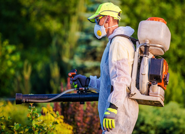 Garden Pest Control