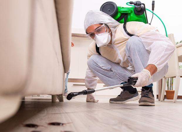 Residential Pest Control