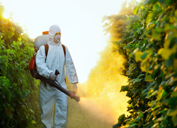Garden Pest Control