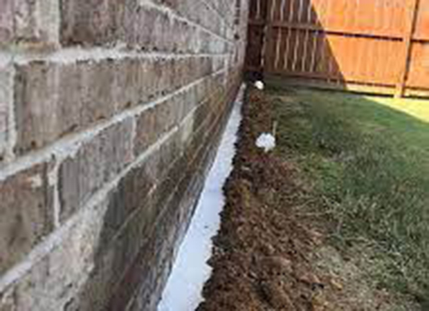 Rodent Control