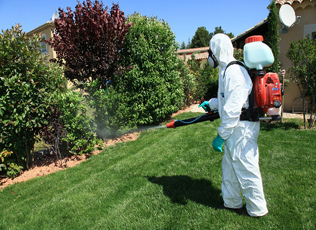 Customized Pest Control Plans
