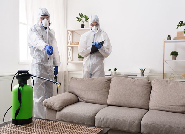 Customized Pest Control Plans