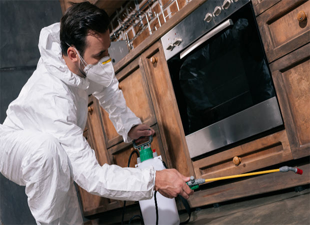 Bed Bug Treatment